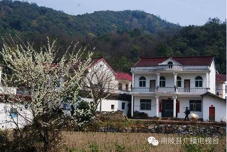 烟墩镇霭里村,家发镇板石岭村入选"安徽美丽宜居村庄 今日南陵